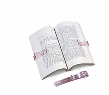 Hold-and-Read Page Holders