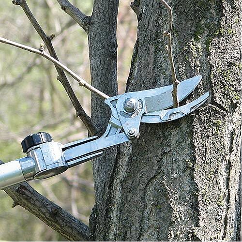 ARS (Always Really Sharp) Telescoping Razor Edge Pruner 4-7 Foot